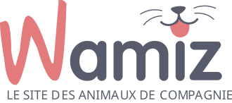 Wamiz